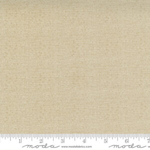 Thatched 108" Quilt Back By Robin Pickens For Moda - Linen