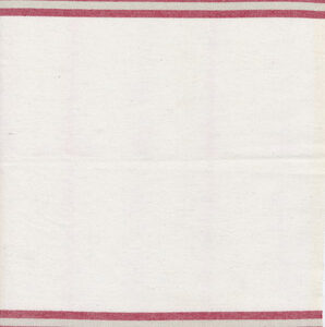 Enamoured Toweling 18" By Pieces To Treasure For Moda - White - Red