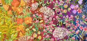 Wild Blossoms By Robin Pickens For Moda - 12" X 44" Repeat Panel - Rainbow