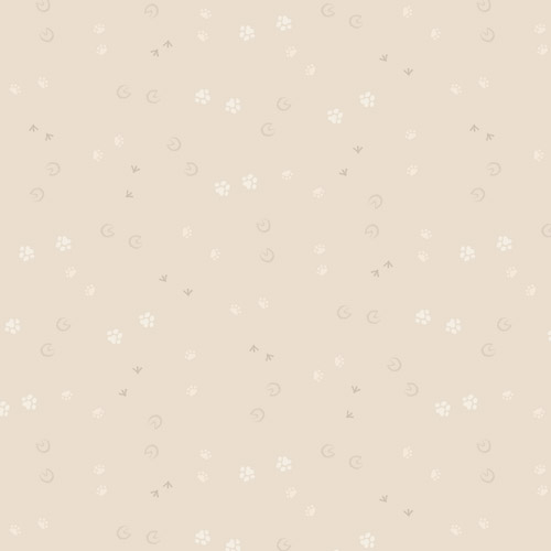 Forest Friends - Finishing Touches - By Rjr Studio For Rjr Fabrics - Champagne