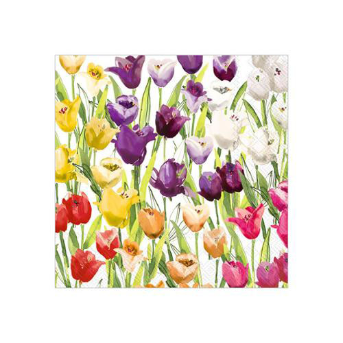 Tulipfield Coctail Napkin By Boston International For Moda  - Multiple Of 12
