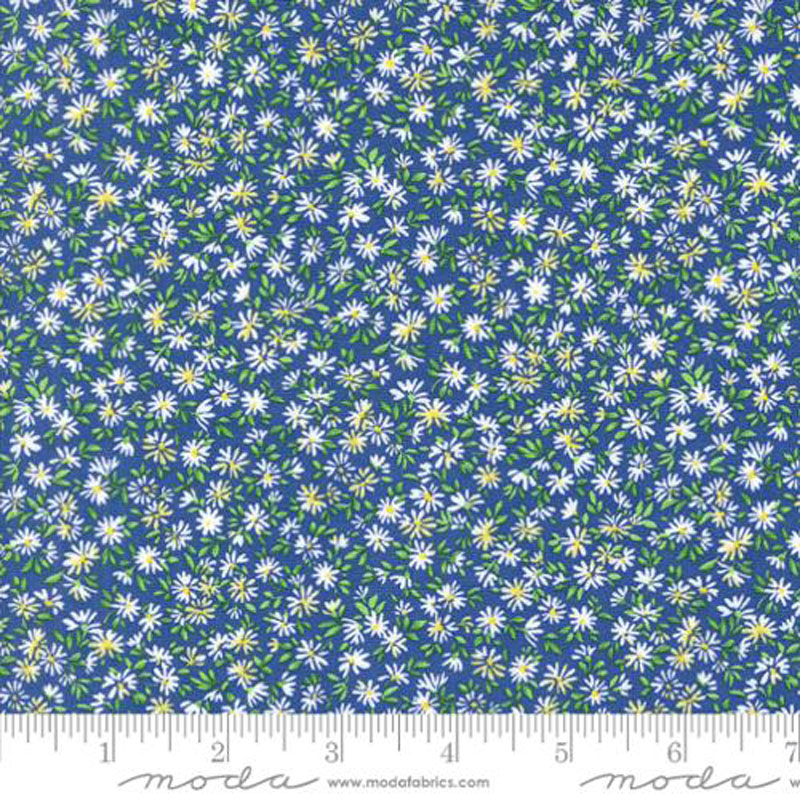 Wildflowers 2024 By Moda - Bluebonnet