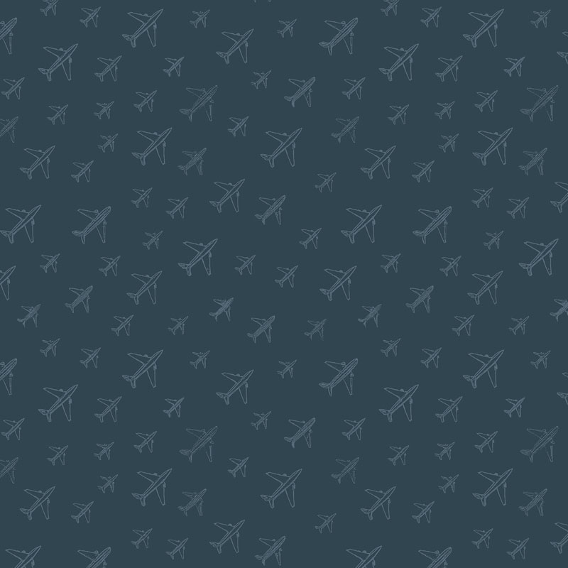 Aviator By Rjr Studio For Rjr Fabrics - Stone Blue