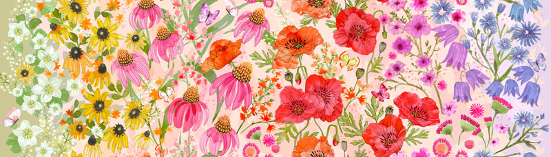 Superbloom By Robin Pickens For Moda - Digitally Printed - Pastel