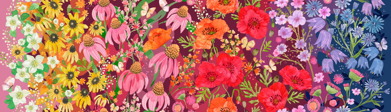 Superbloom By Robin Pickens For Moda - Digitally Printed - Jewel