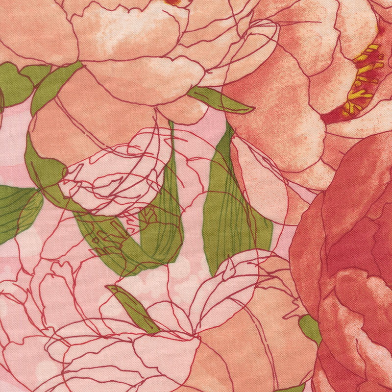 Darling Peony By Robin Pickens For Moda - Cotton Candy