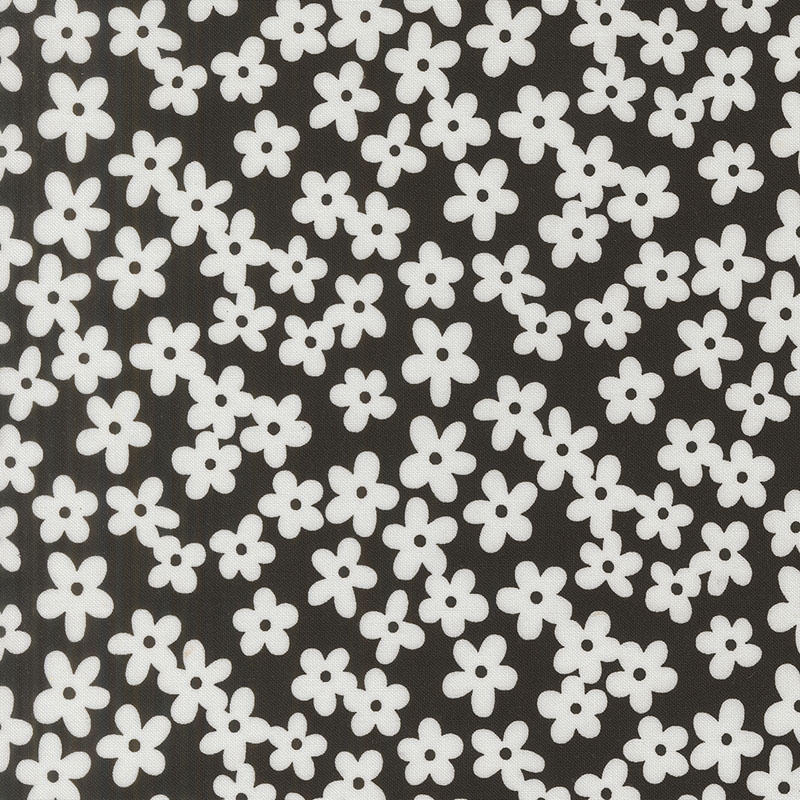 True To Hue By Alli K Design For Moda - Black As Night