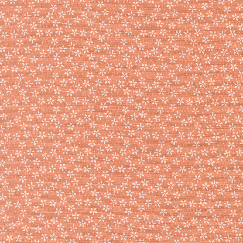 Pastel Prairie By My Sew Quilty Life For Moda - Coral