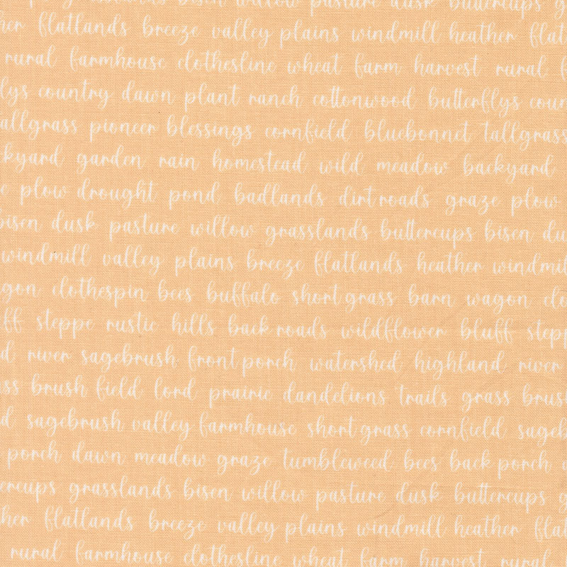 Pastel Prairie By My Sew Quilty Life For Moda - Apricot