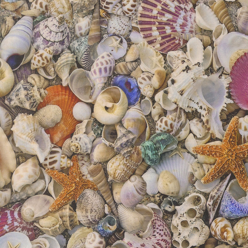 Saltwater By Cathe Holden For Moda - Shell