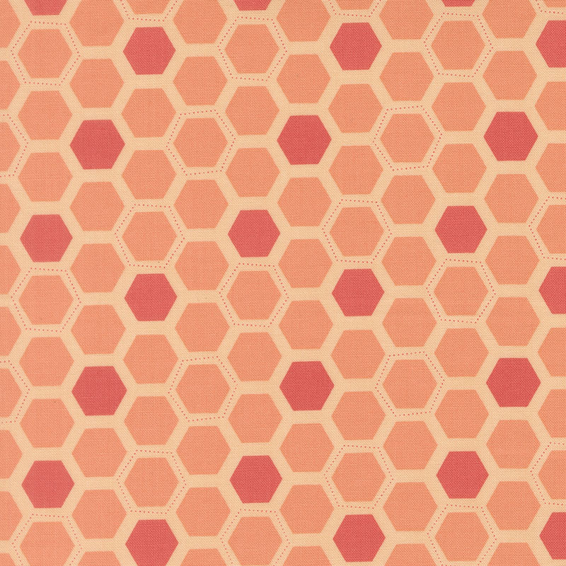 Honeyed Horizon By Keri Anguiano For Moda - Guava