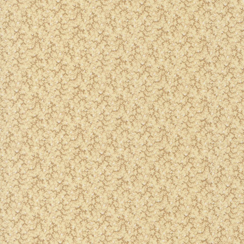 Pamelia\'s Path By Betsy Chutchian For Moda - Biscuit