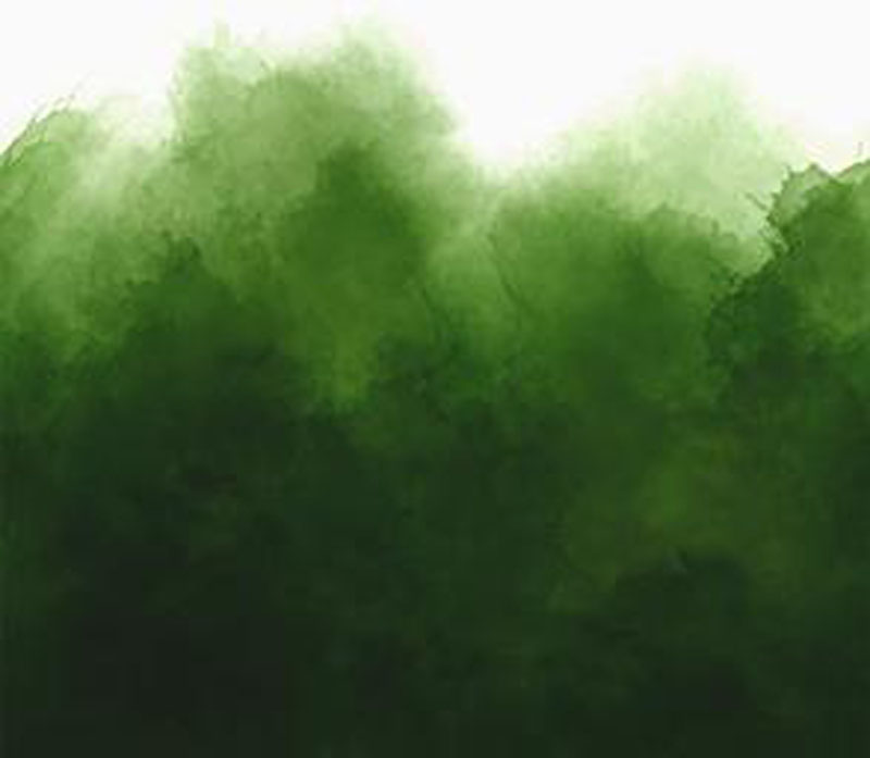 Mystic Ombre By V & Co. For Moda - Digital Prints - Evergreen