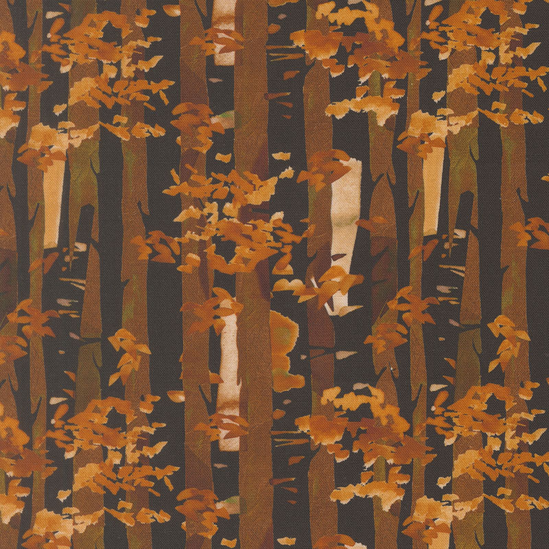 Northern Brights By Amarilys Henderson For Moda - Digital Print - Night Sky