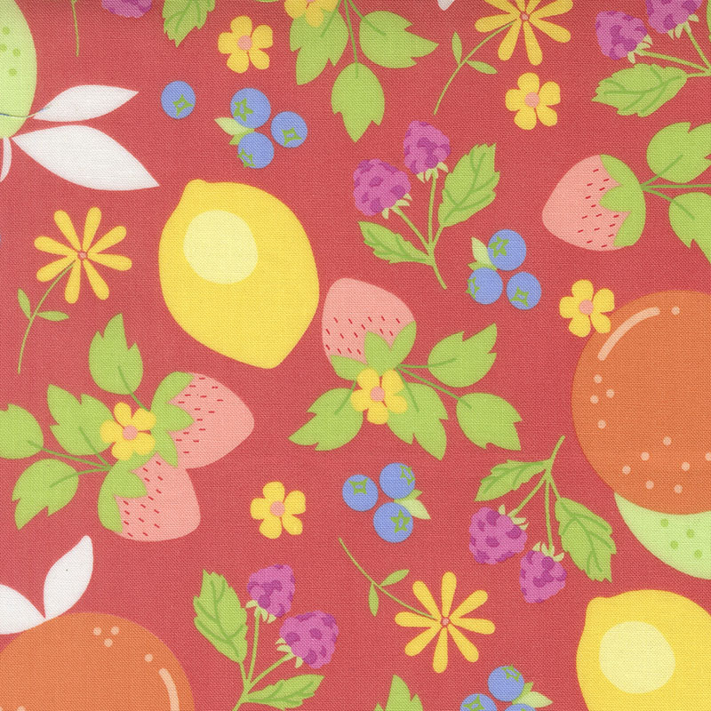 Fruit Salad By Corey Yoder For Moda - Flamingo