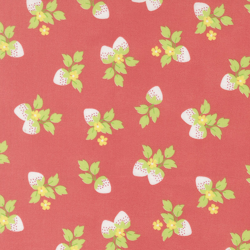Fruit Salad By Corey Yoder For Moda - Flamingo