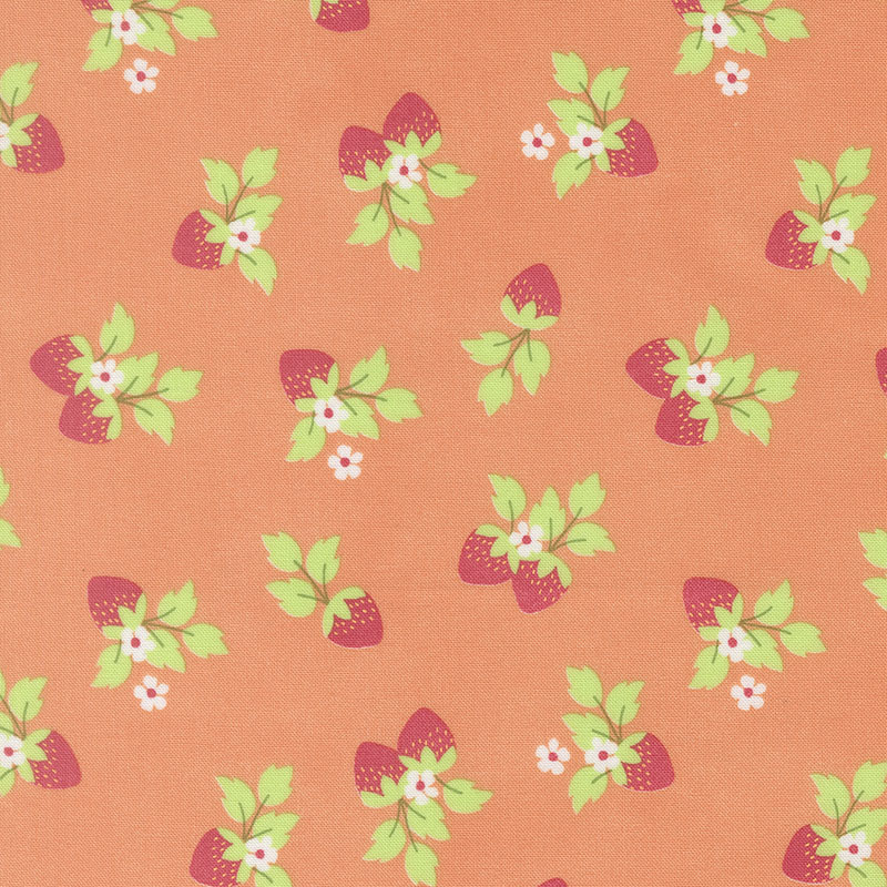 Fruit Salad By Corey Yoder For Moda - Coral