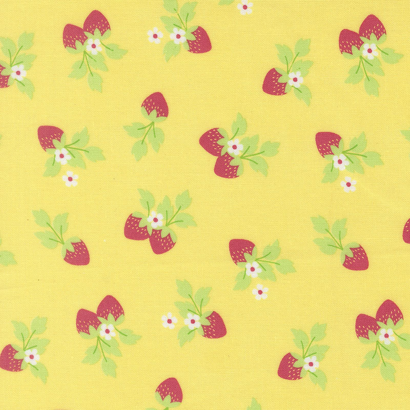 Fruit Salad By Corey Yoder For Moda - Sunshine