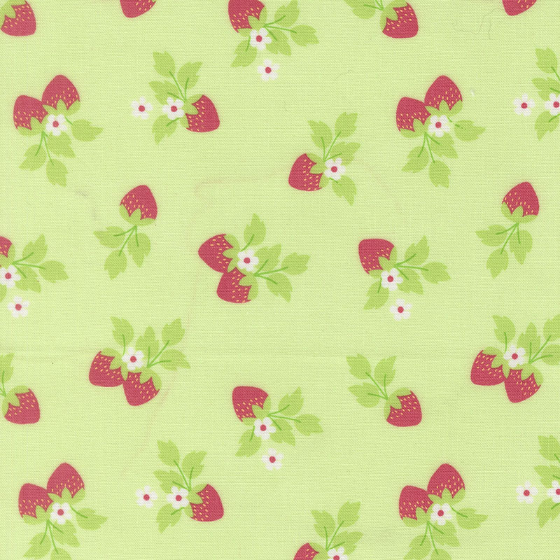 Fruit Salad By Corey Yoder For Moda - Melon