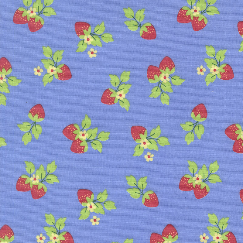 Fruit Salad By Corey Yoder For Moda - Sky