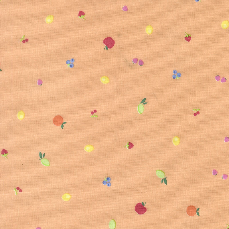 Fruit Salad By Corey Yoder For Moda - Cantaloupe