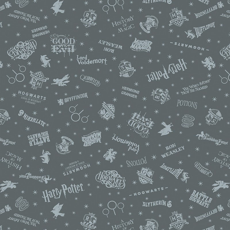 Harry Potter 2nd Edition By Warner Brothers For Benartex - Dark Gray