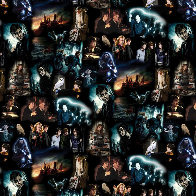 Harry Potter 2nd Edition By Warner Brothers For Benartex - Black