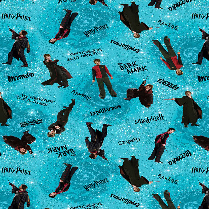 Harry Potter 2nd Edition By Warner Brothers For Benartex - Turquoise