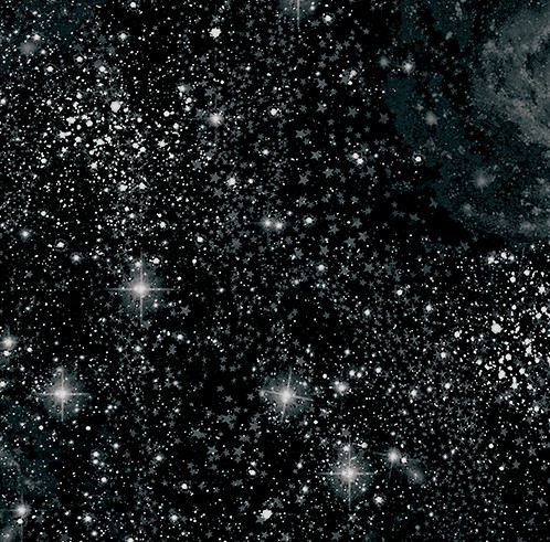 Magical Minkee 60" Wide By Benartex - Black