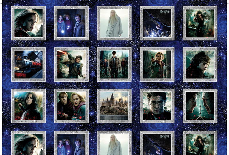 Harry Potter 2nd Edition By Warner Brothers For Benartex - Multi