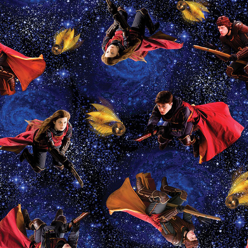 Harry Potter Minkee 60" Wide By Warner Brothers For Benartex - Royal Blue