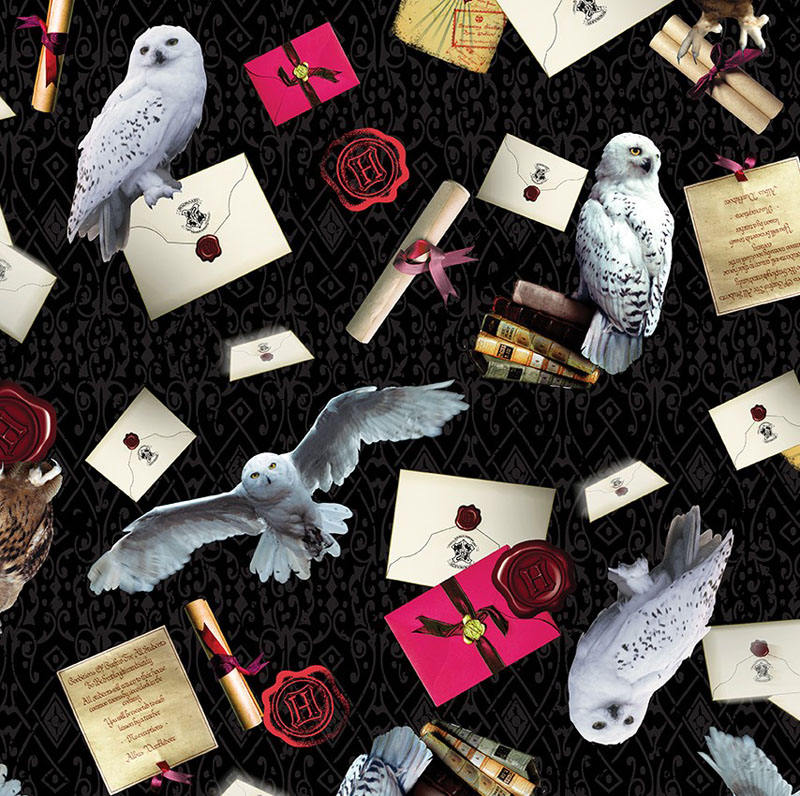 Harry Potter Minkee 60" Wide By Warner Brothers For Benartex - Black