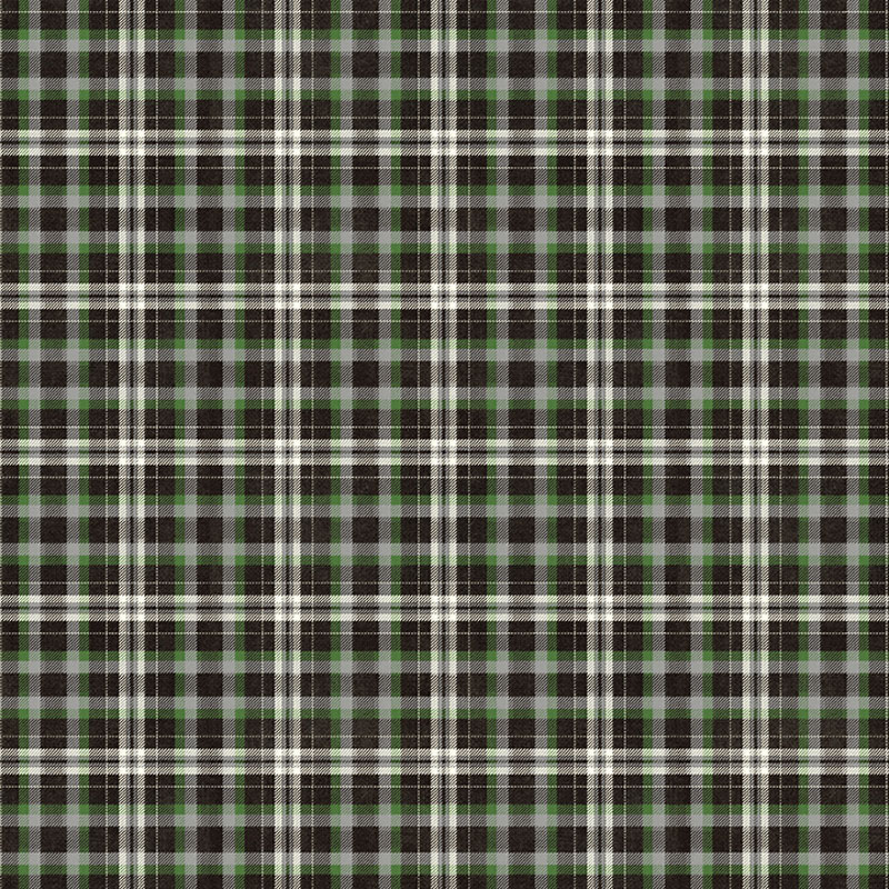 Touchdown By Skyline Studio For Benartex - Digitally Printed - Black/Green