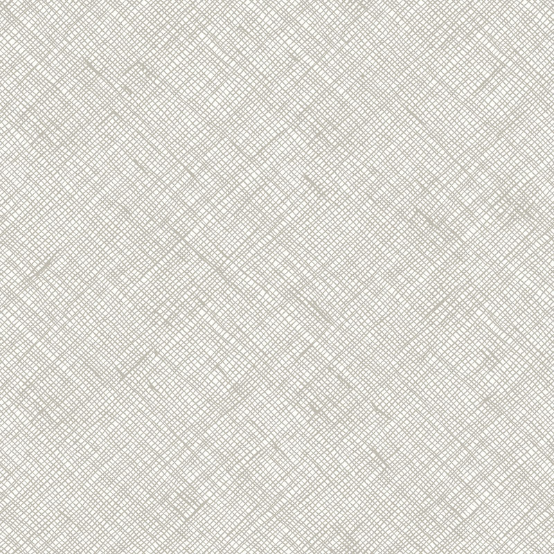 Memento By Carolyn Friedlander Of Ruby Star Society For Moda - Canvas - Cotton