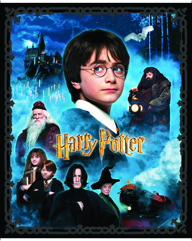 Harry Potter By Warner Brothers For Benartex - Multi