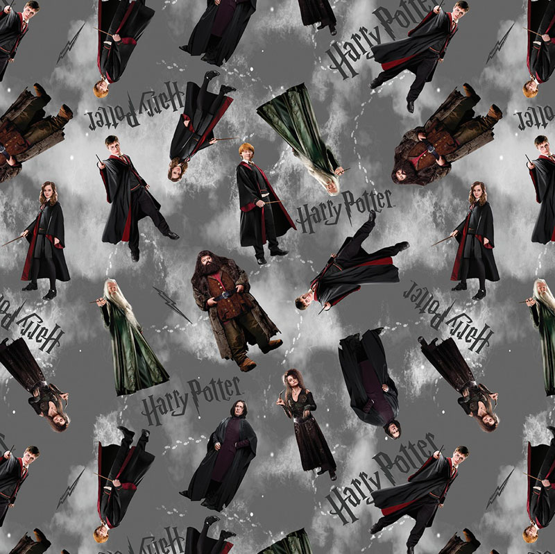 Harry Potter By Warner Brothers For Benartex - Gray