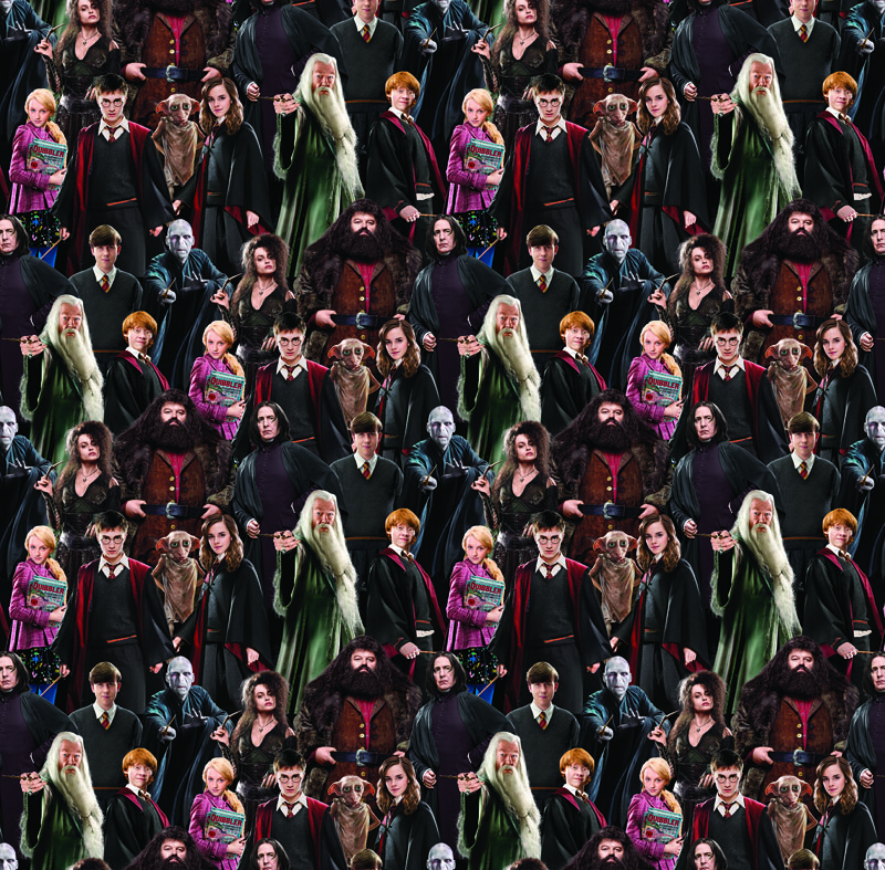 Harry Potter 108" By Warner Brothers For Benartex - Multi