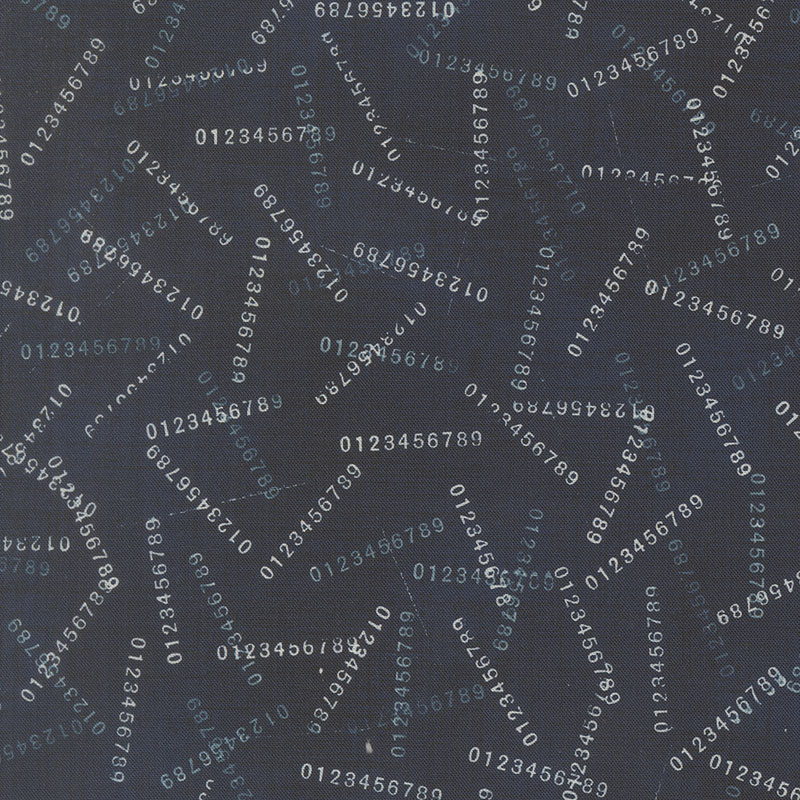 Data By Janet Clare For Moda - Digitally Printed - Hawking