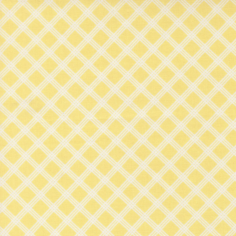 Joysome By Corey Yoder For Moda - Sunshine