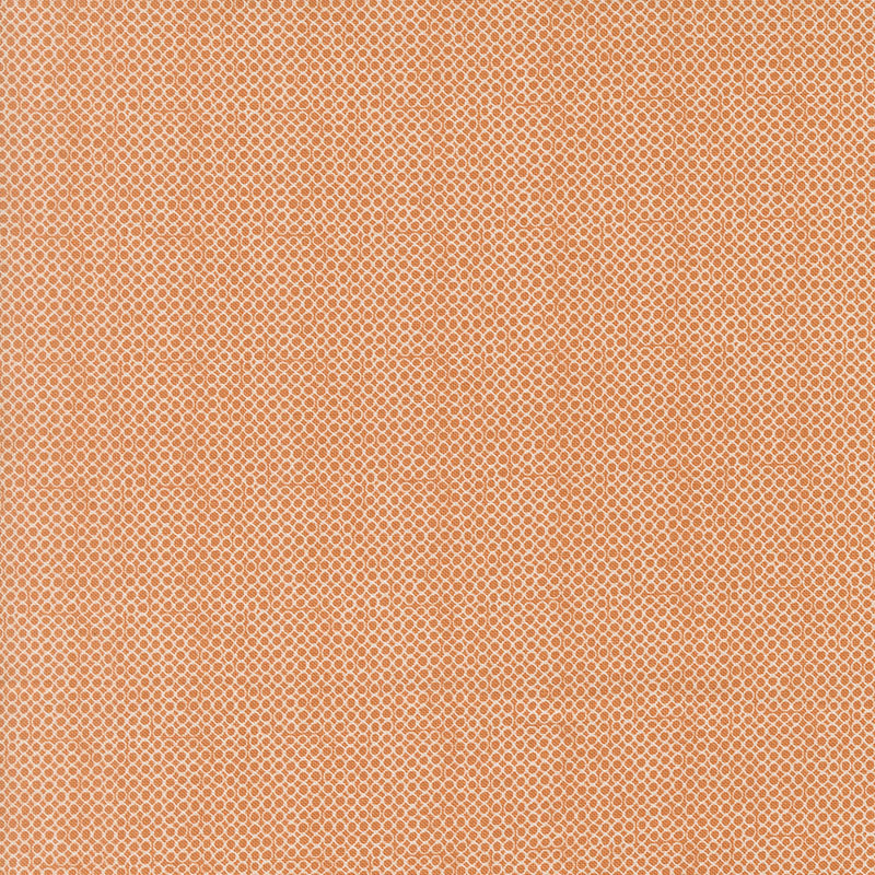 Bug Collector By Sweetwater For Moda - Orange