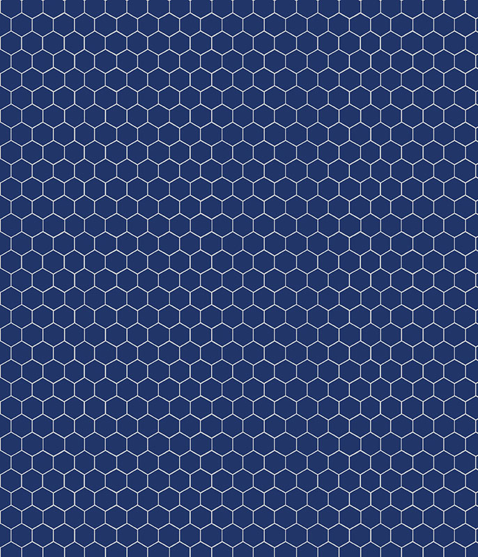 Green Acres By Kanvas Studio For Benartex - Navy - Digitally Printed