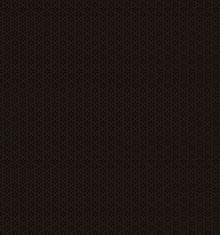 Shadow And Light By Kanvas Studio For Benartex - Black/Black