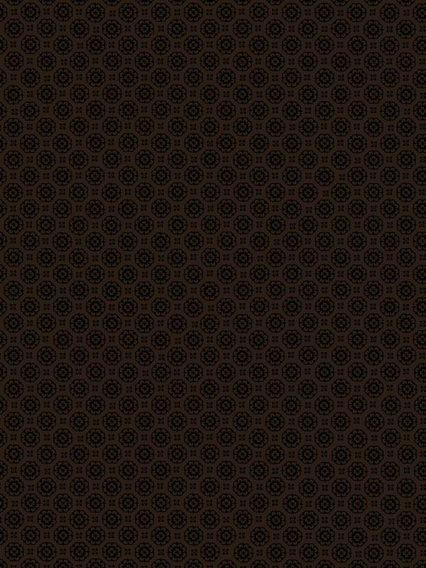 Shadow And Light By Kanvas Studio For Benartex - Black/Black