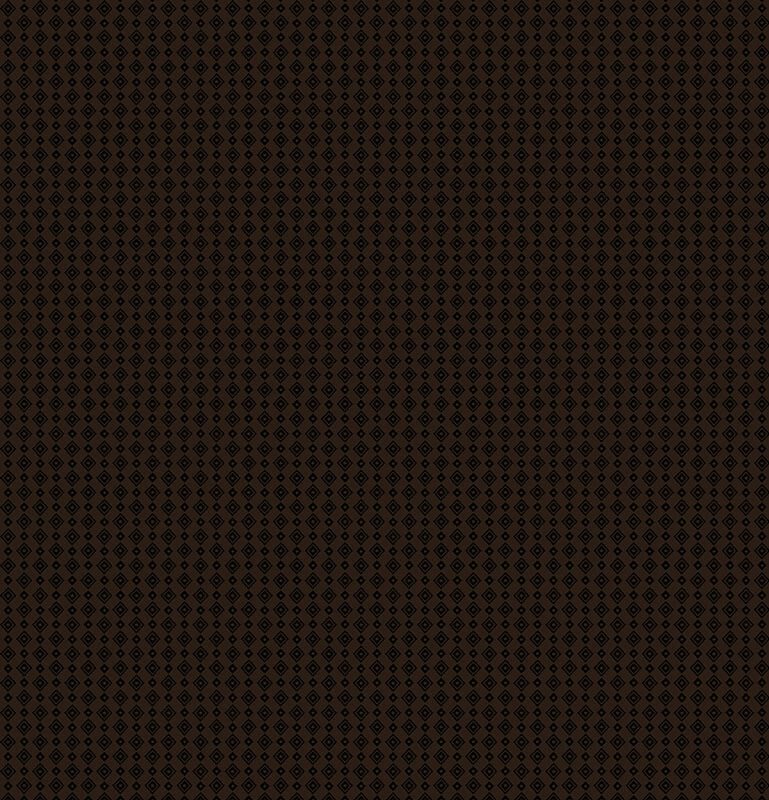 Shadow And Light By Kanvas Studio For Benartex - Black/Black