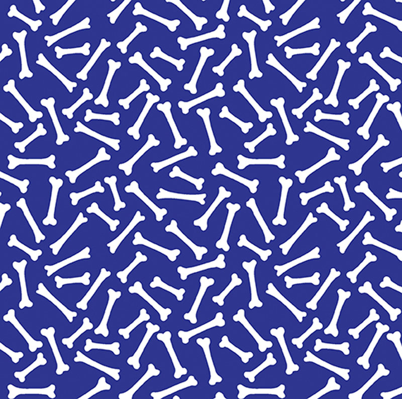 Dino Friends By Kanvas Studio For Benartex - Blue - Digitally Printed