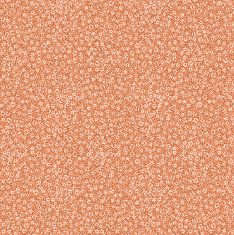 Mirrors By Nina Pace For Benartex - Digitally Printed - Melon