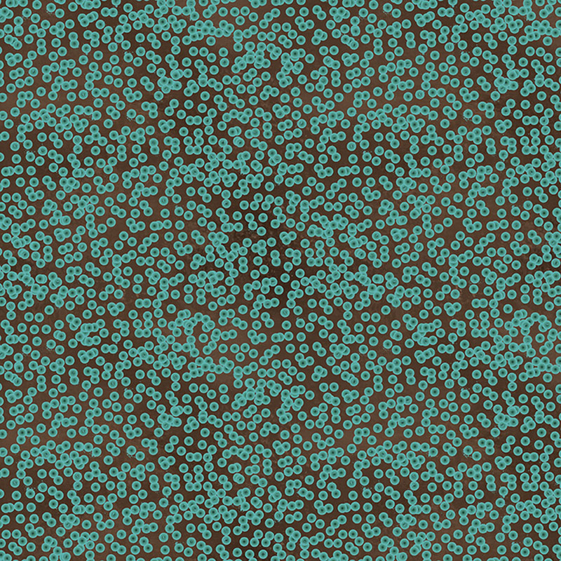 Bushel And Bloom By Rachel Rossi Designs For Benartex - Chocolate/Teal - Digitally Printed