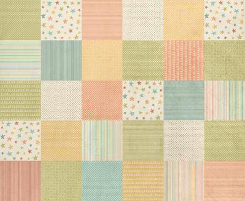 Cuddle Crew Quilting Cuddle By Stacy Iest Hsu For Moda With Shannon Fabrics - Multi