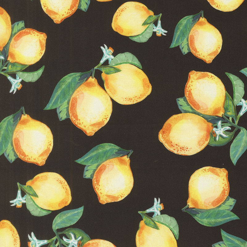 Copa Flora By Amarilys Henderson For Moda - Digital Print - Midnight