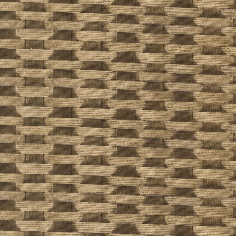 Paper Trails By Cathe Holden For Moda - Digital Print - Birch